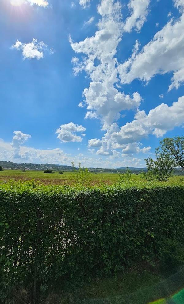 Field Sarajevo